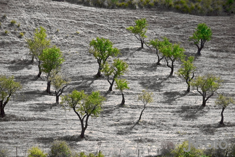 landschap16.jpg