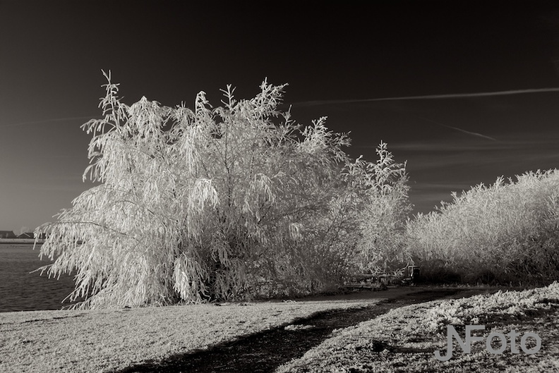 landschap2.jpg